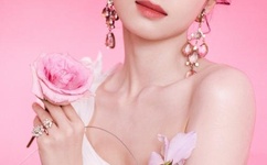 粉红色的火烈鸟 快播